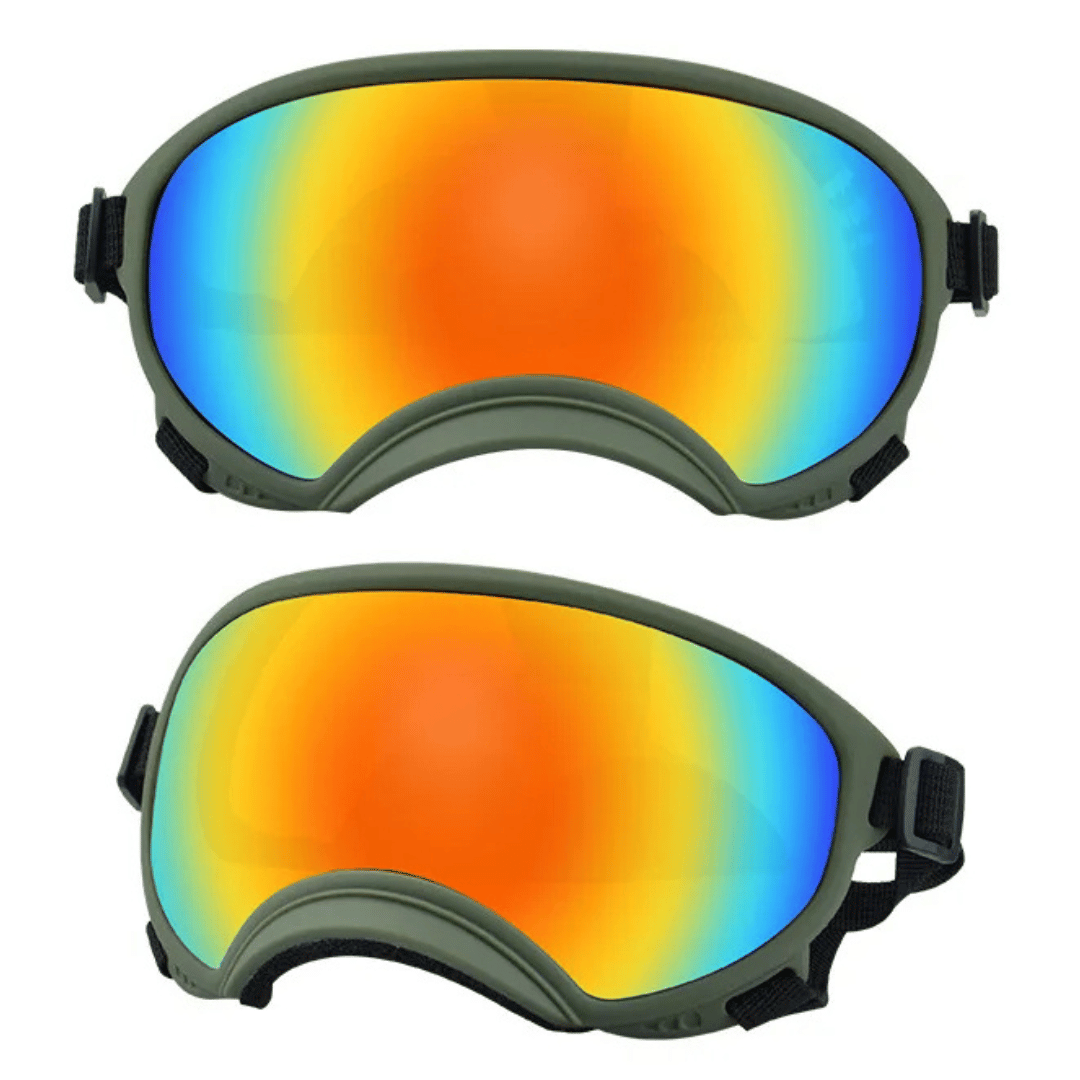 Cool-Dog-Goggles-28