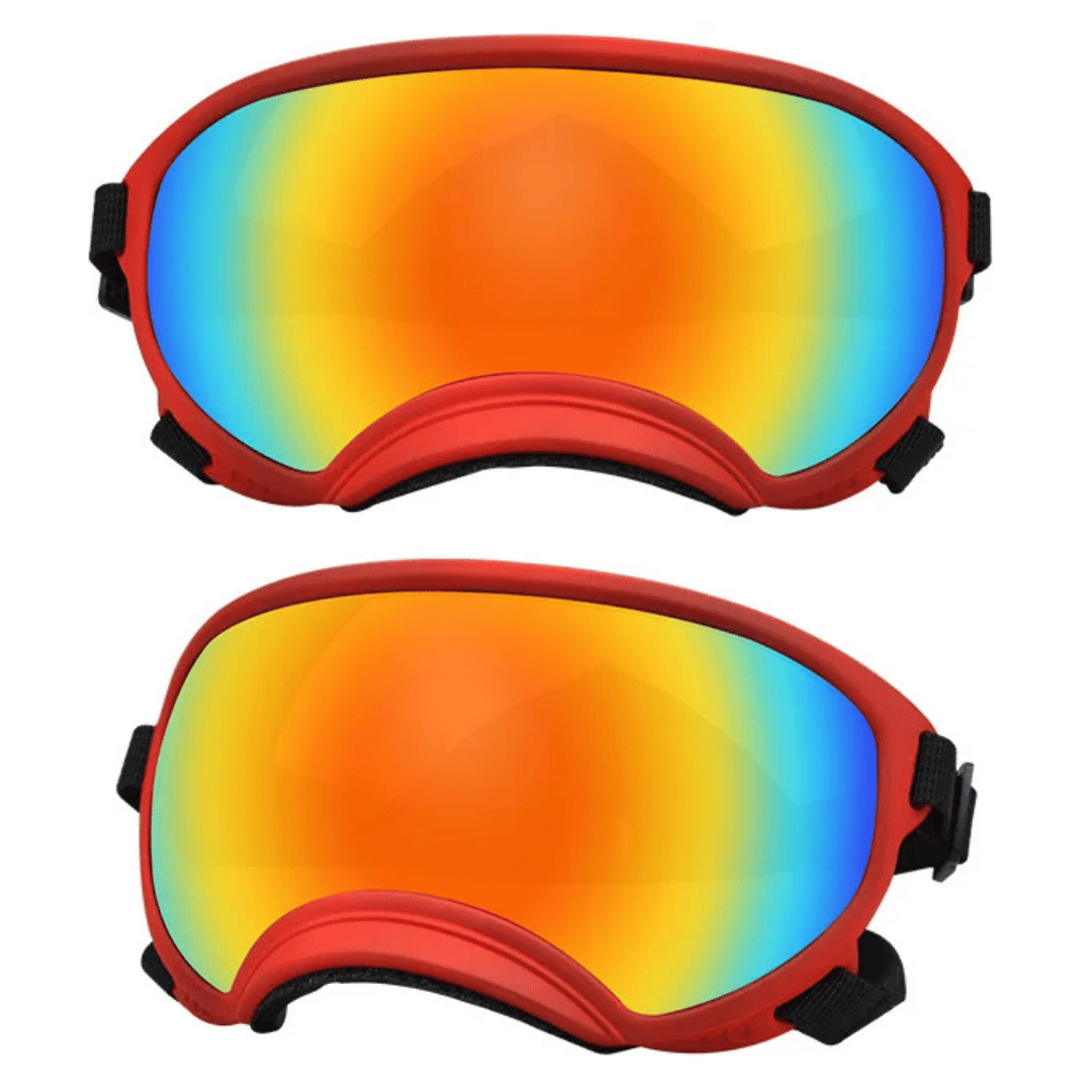 Cool-Dog-Goggles-29