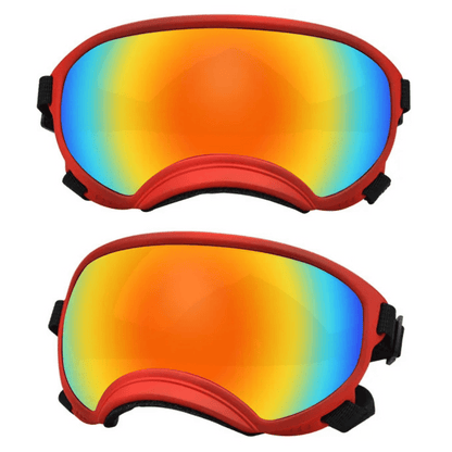 Cool-Dog-Goggles-29