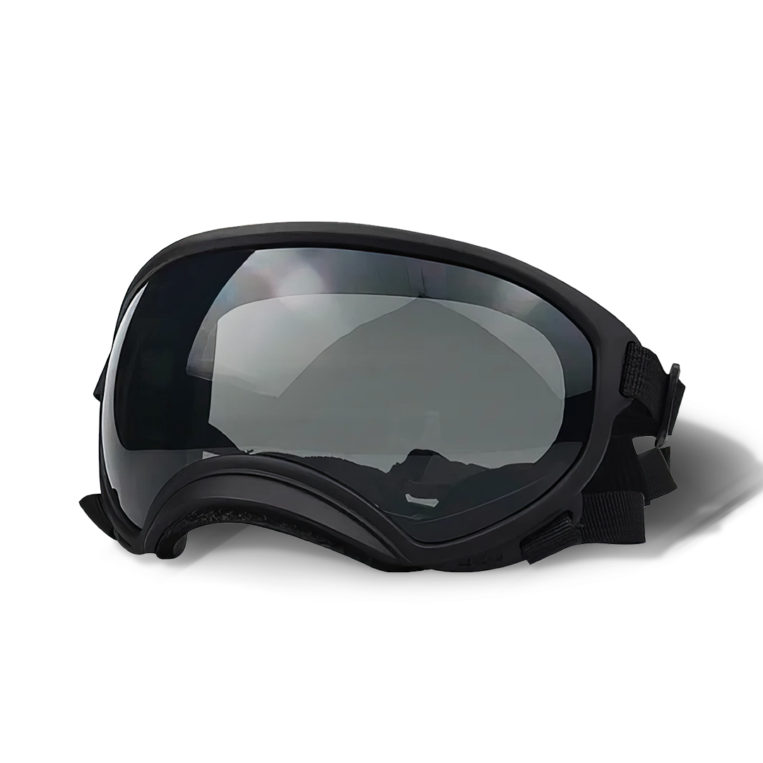 Cool-Dog-Goggles-3