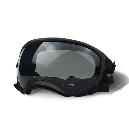Cool-Dog-Goggles-3