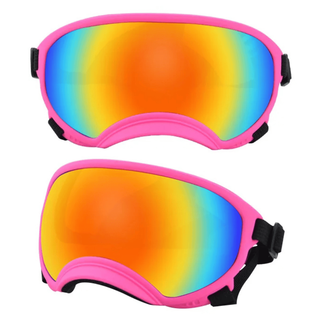 Cool-Dog-Goggles-30