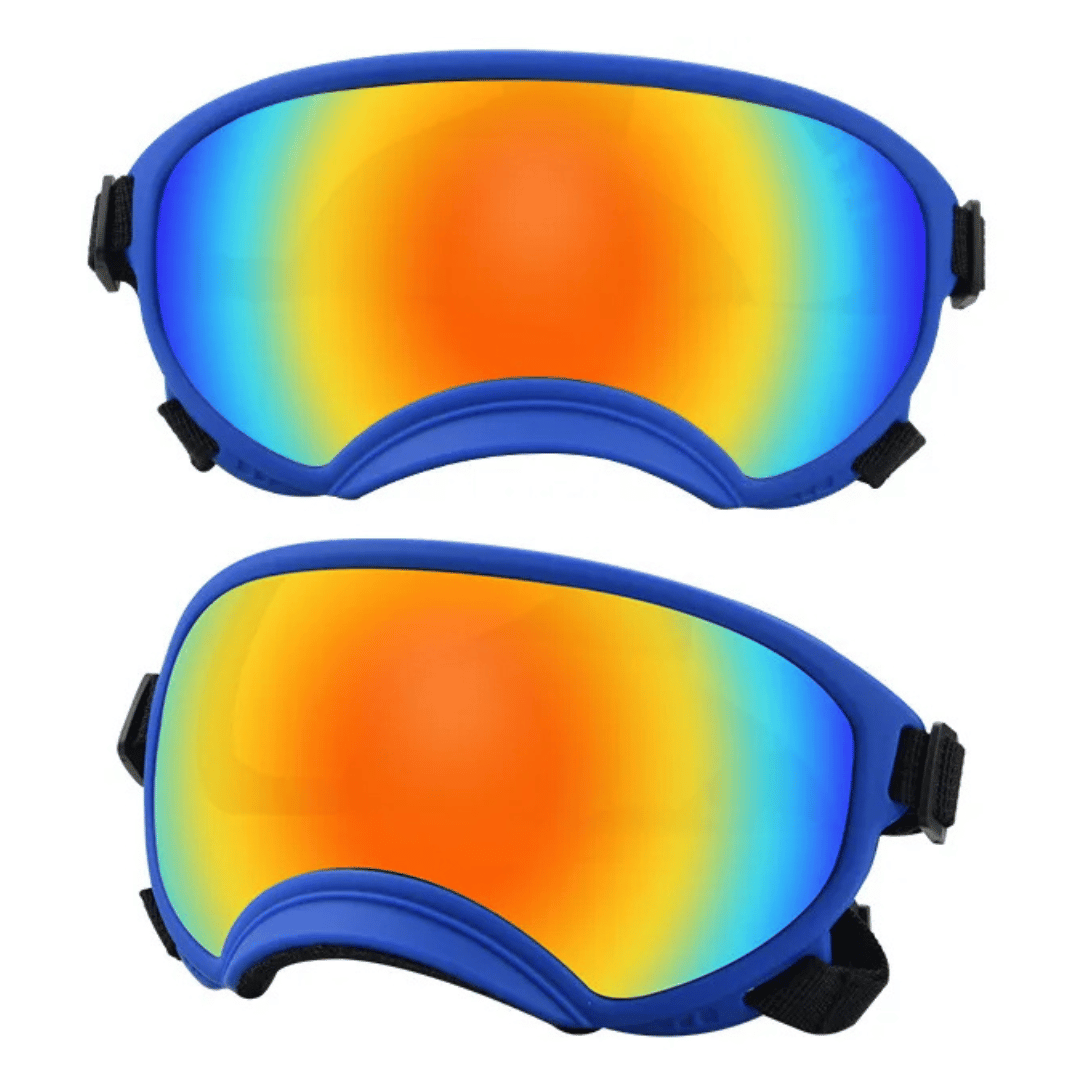 Cool-Dog-Goggles-31