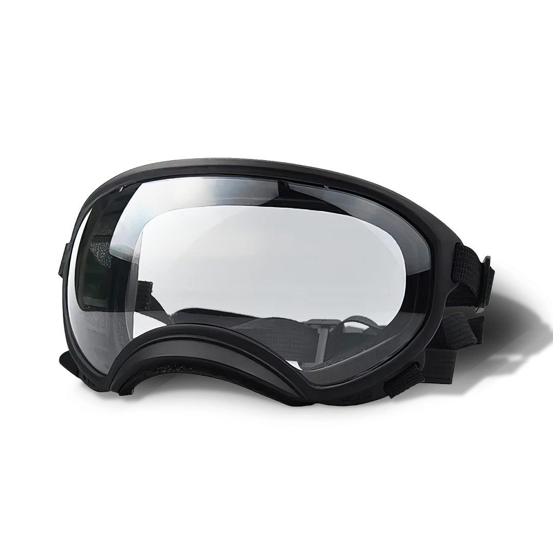 Cool-Dog-Goggles-4