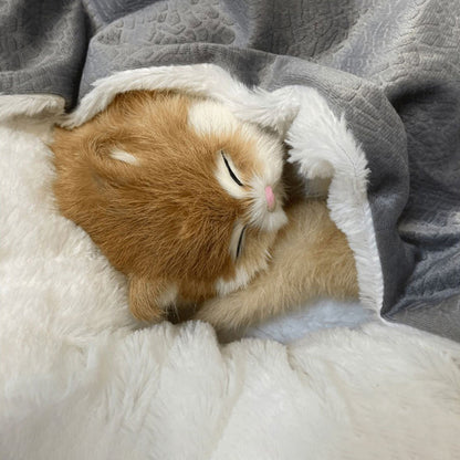 Cosy-Pet-Nest-with-Snuggle-Blanket-for-Cats-Small-Dogs-2