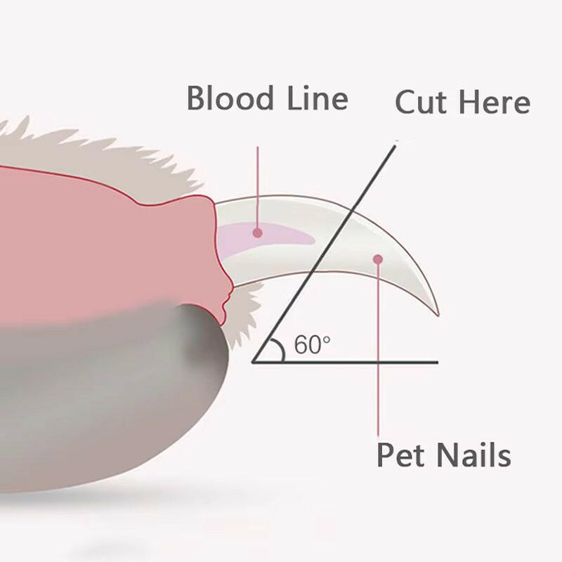 Dog Nail Clippers with LED Light, Safety Guard & Ergonomic Grip for Precise Trimming 7