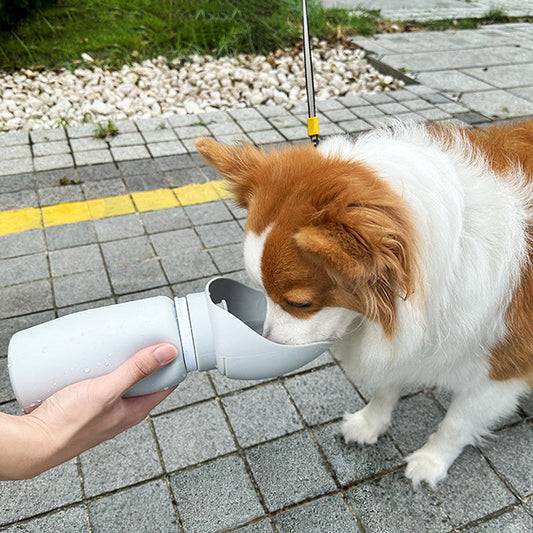 Foldable-Dog-Water-Bottle-1