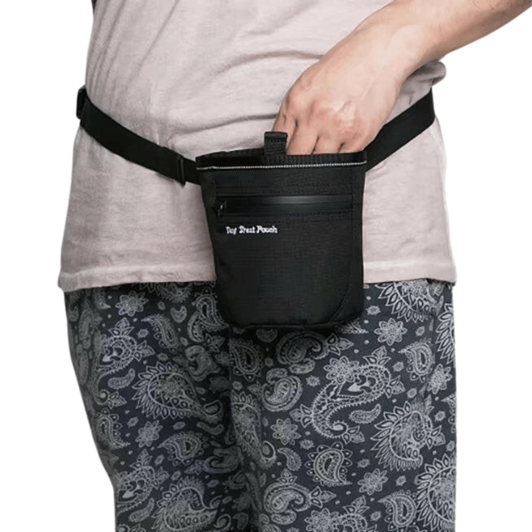 Hands-Free Dog Treat Training Pouch with Adjustable Waist Strap & Zip Pocket 11