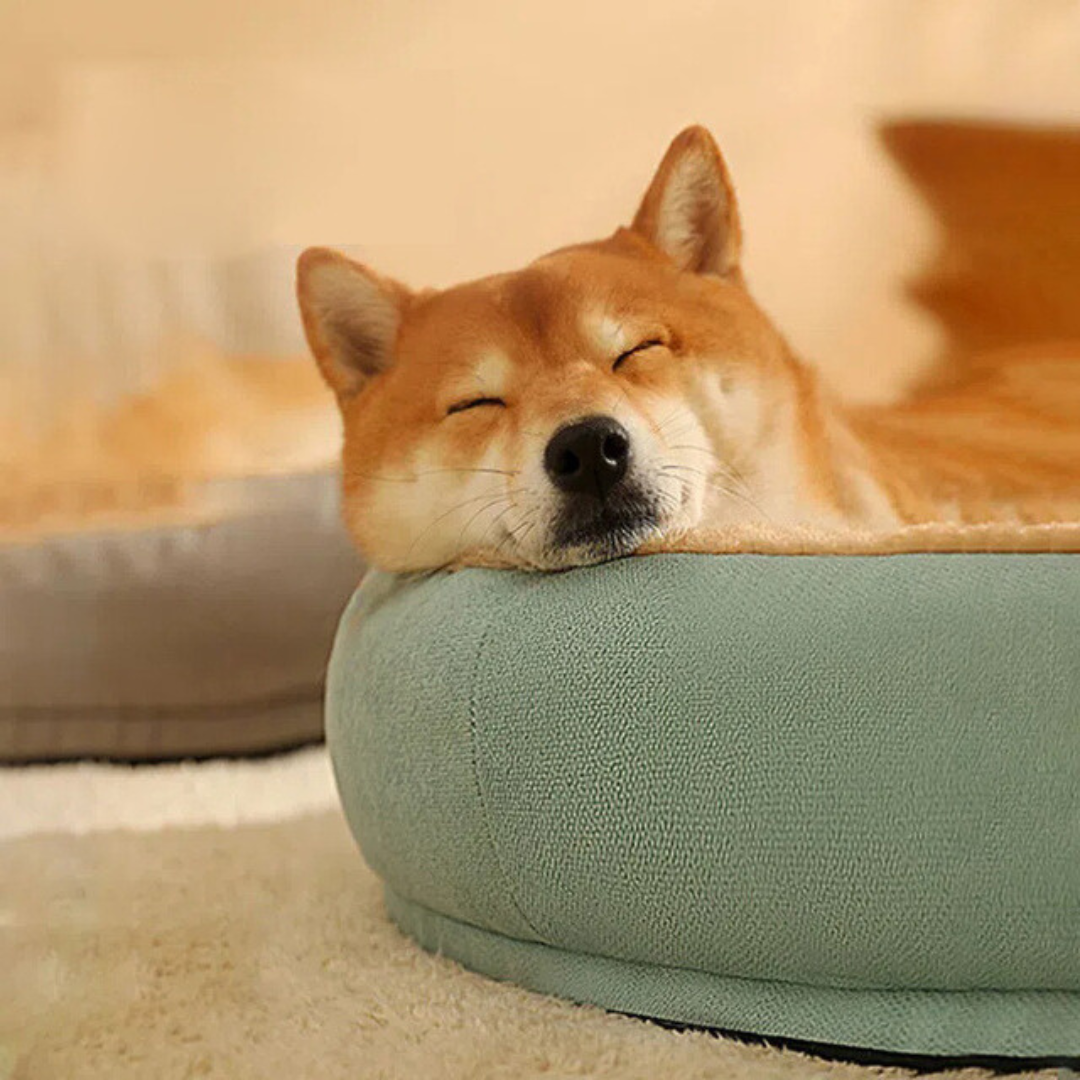Luxury-Velvet-Comfort-Dog-Bed-19