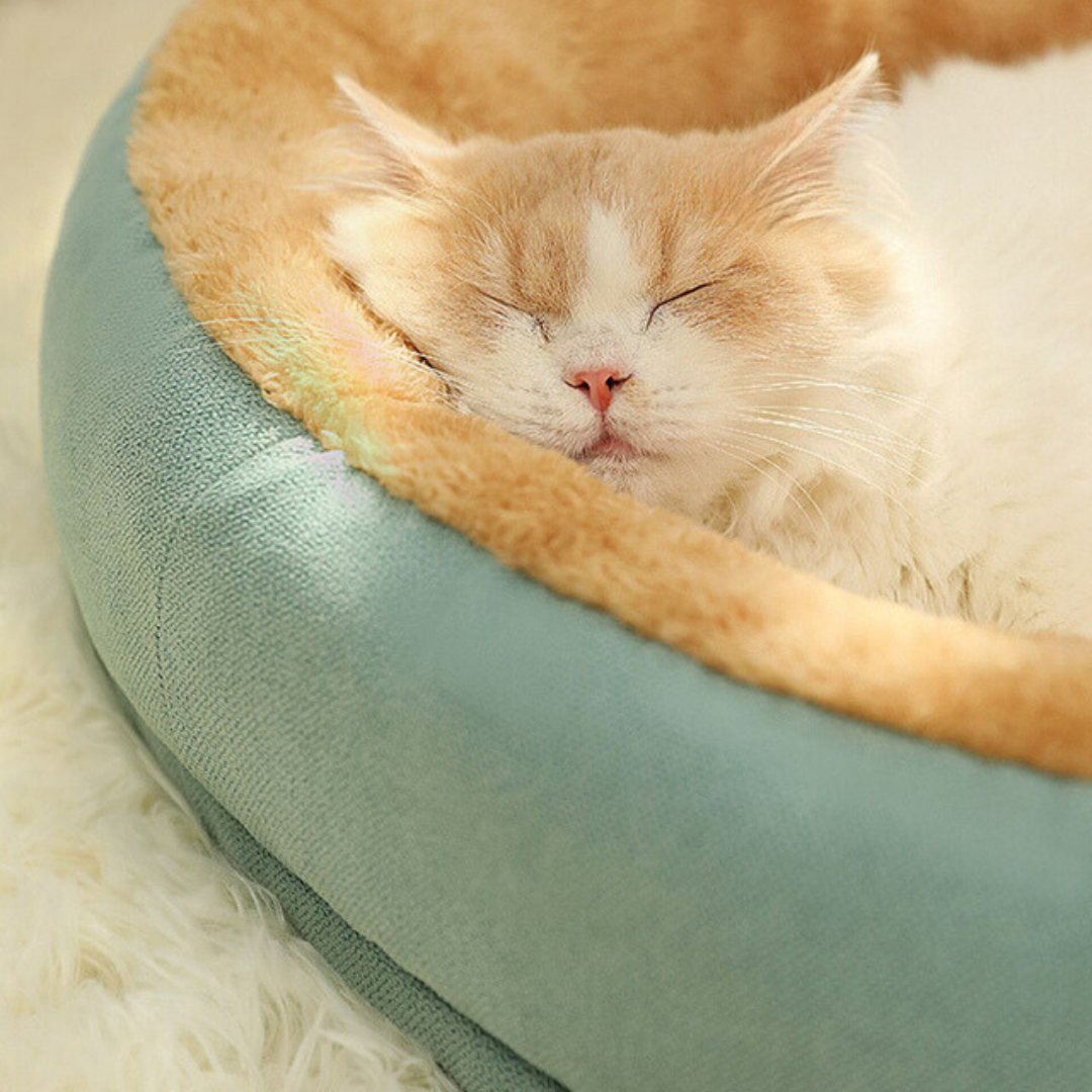 Luxury-Velvet-Comfort-Dog-Bed-20