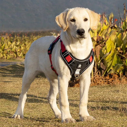 Reflective No-Pull Dog Harness with Handle for Safe & Controlled Walks