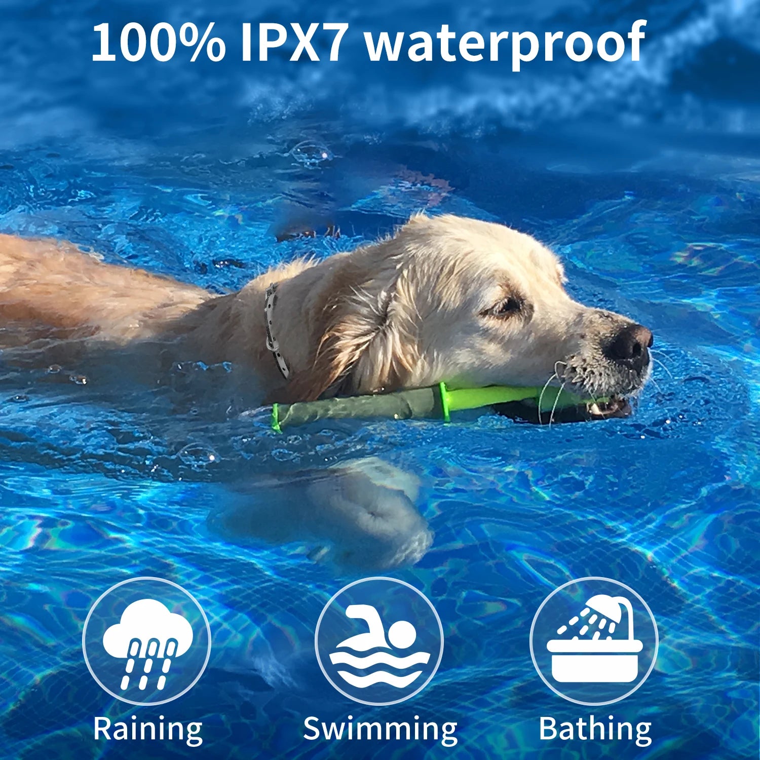 1000m Vibrate, Beep & Shock Dog Training Collar & Remote 6