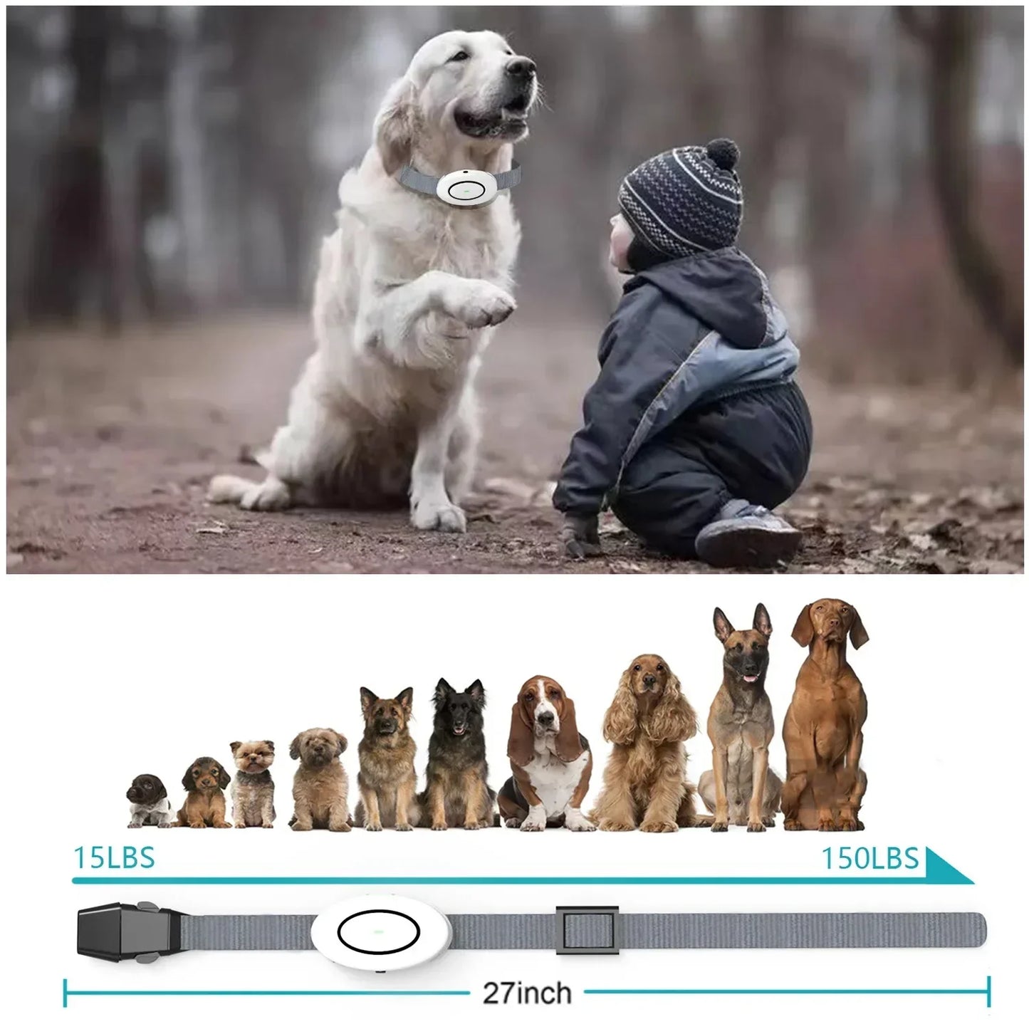 White Digital Dog Training Collar with Sleek LED Remote Control 5