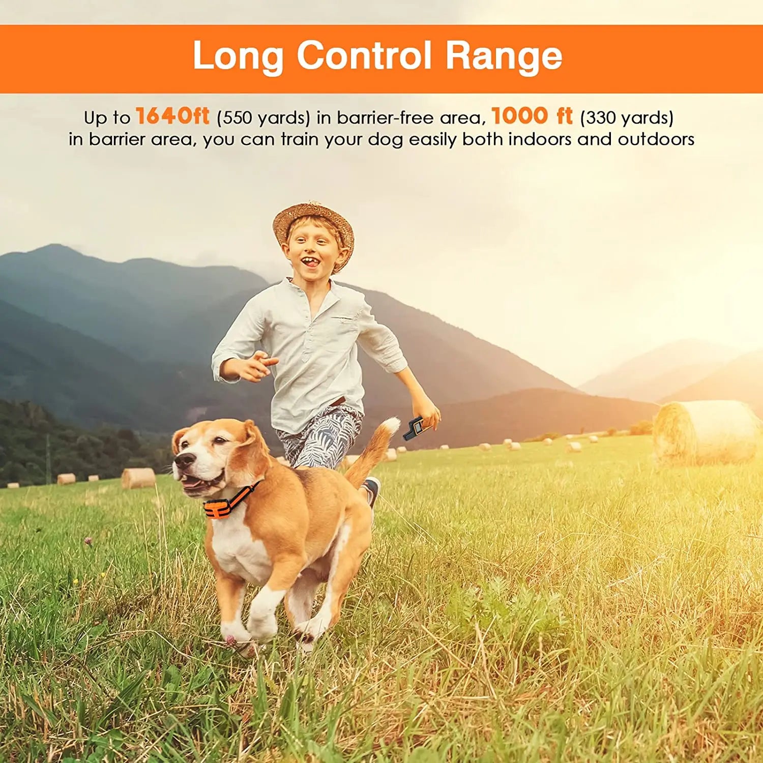5-Level Dog Training Collar & Remote 5