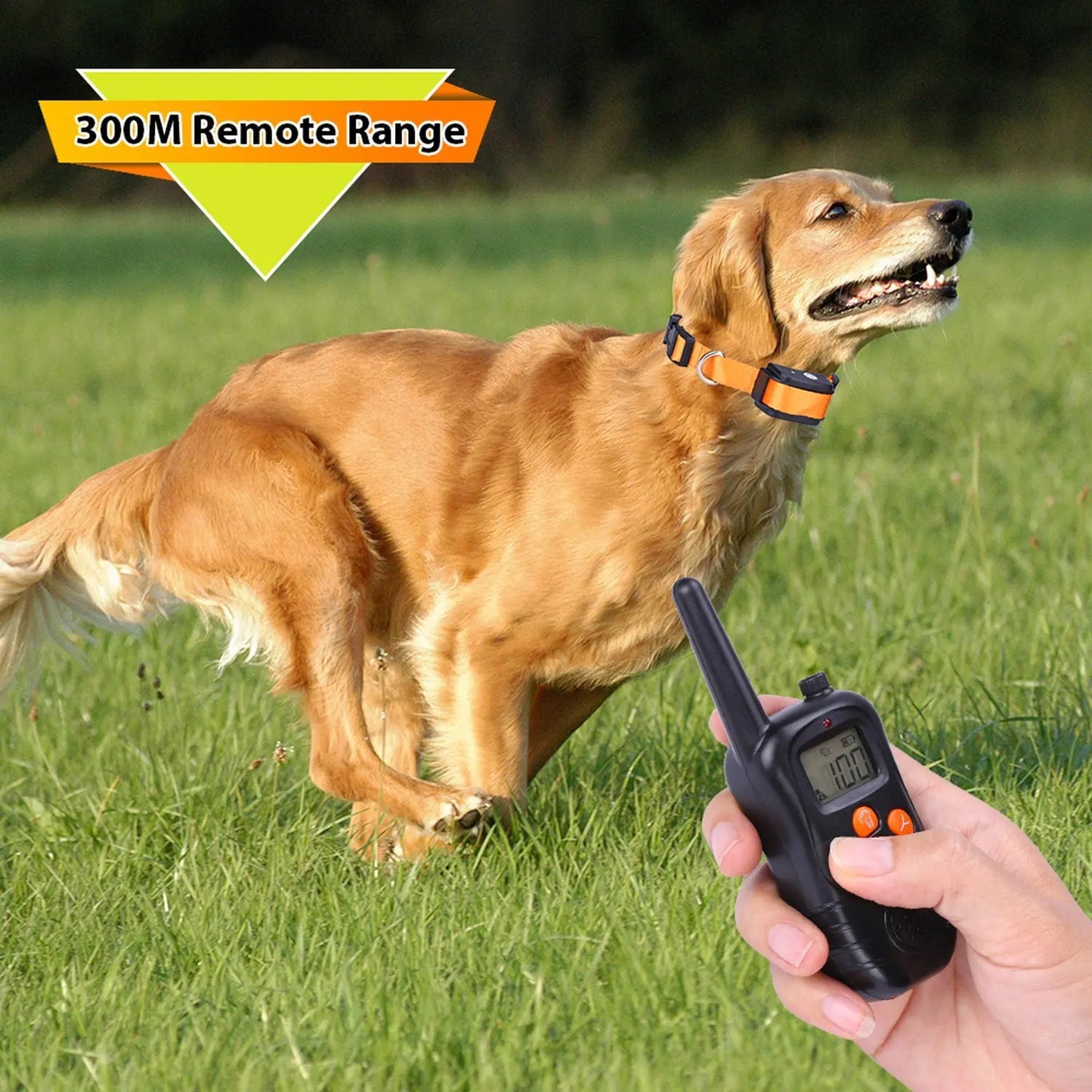 Waterproof & Rechargeable 300m Nylon Dog Training Collar with Remote 3