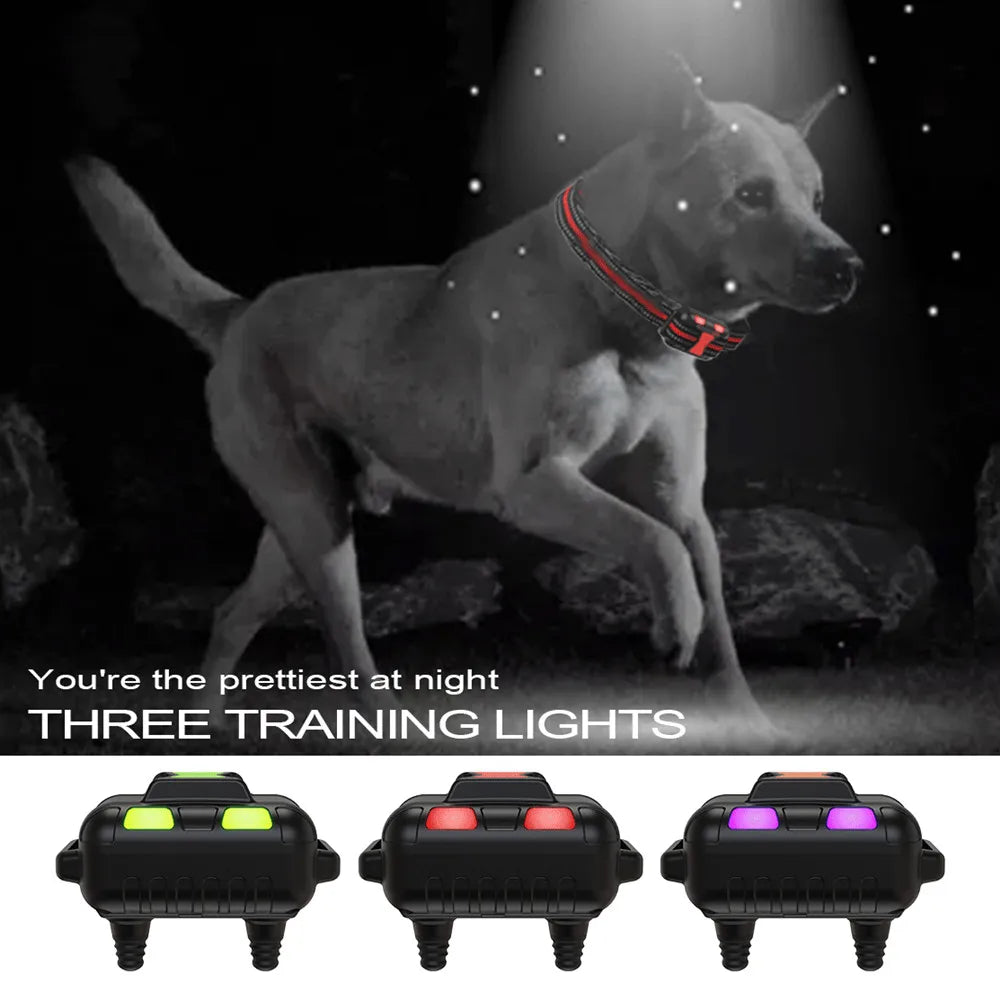 800m Nylon Dog Training Collar & Remote Control 10