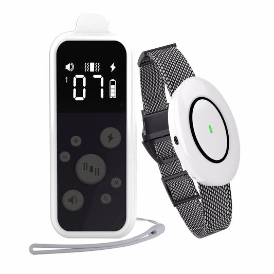 White Digital Dog Training Collar with Sleek LED Remote Control 1