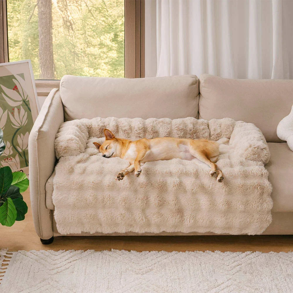 Fluffy Calming Dog Bed Sofa Protector with Bolster for Smaller Dogs & Cats 2