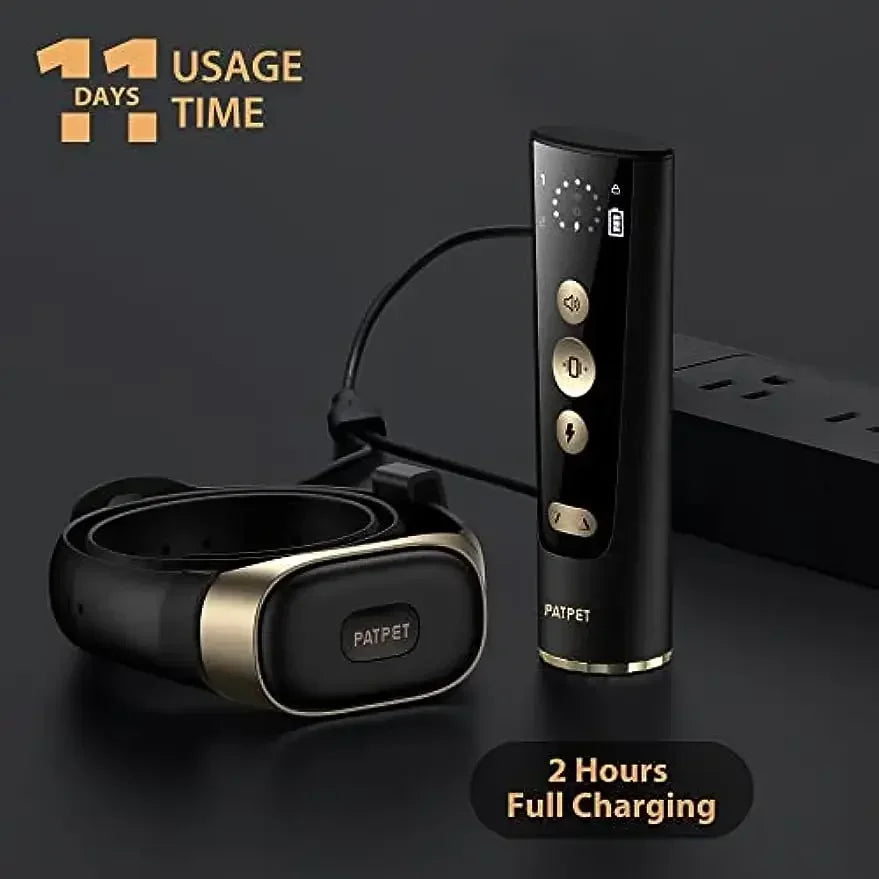 Black & Gold Dog Training E-Collar & Remote Control 2