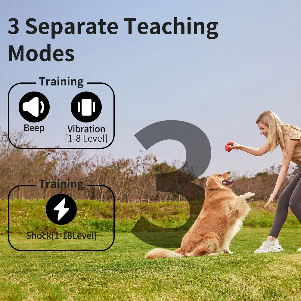 800m Dog Training Collar with Colour LCD Remote Control 5