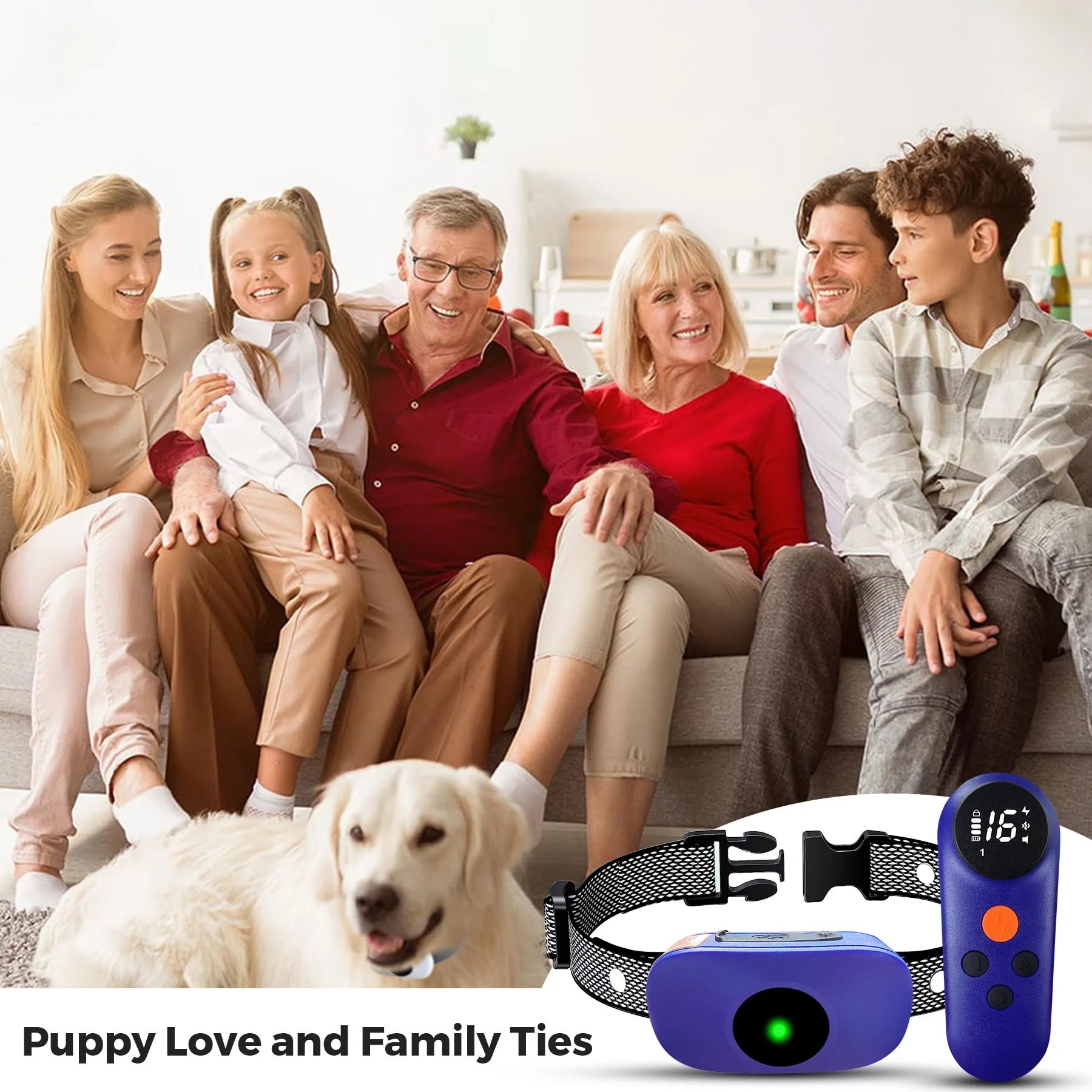 500m Waterproof Remote Control Dog Training Collar 5