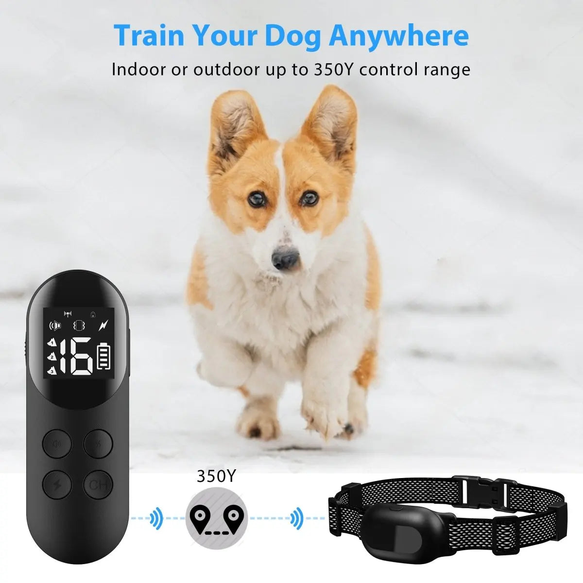 Digital Remote Controlled Dog Training Collar | Up to 300m Range 4