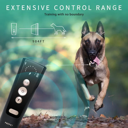 Black & Gold Dog Training E-Collar & Remote Control 5