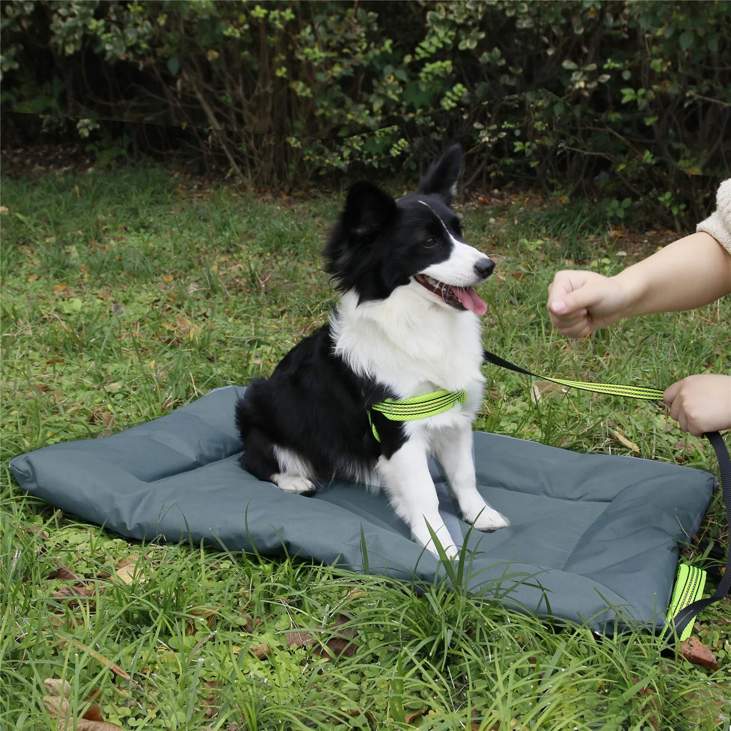Portable Waterproof Dog Travel Mat | Scratch-Resistant 4
