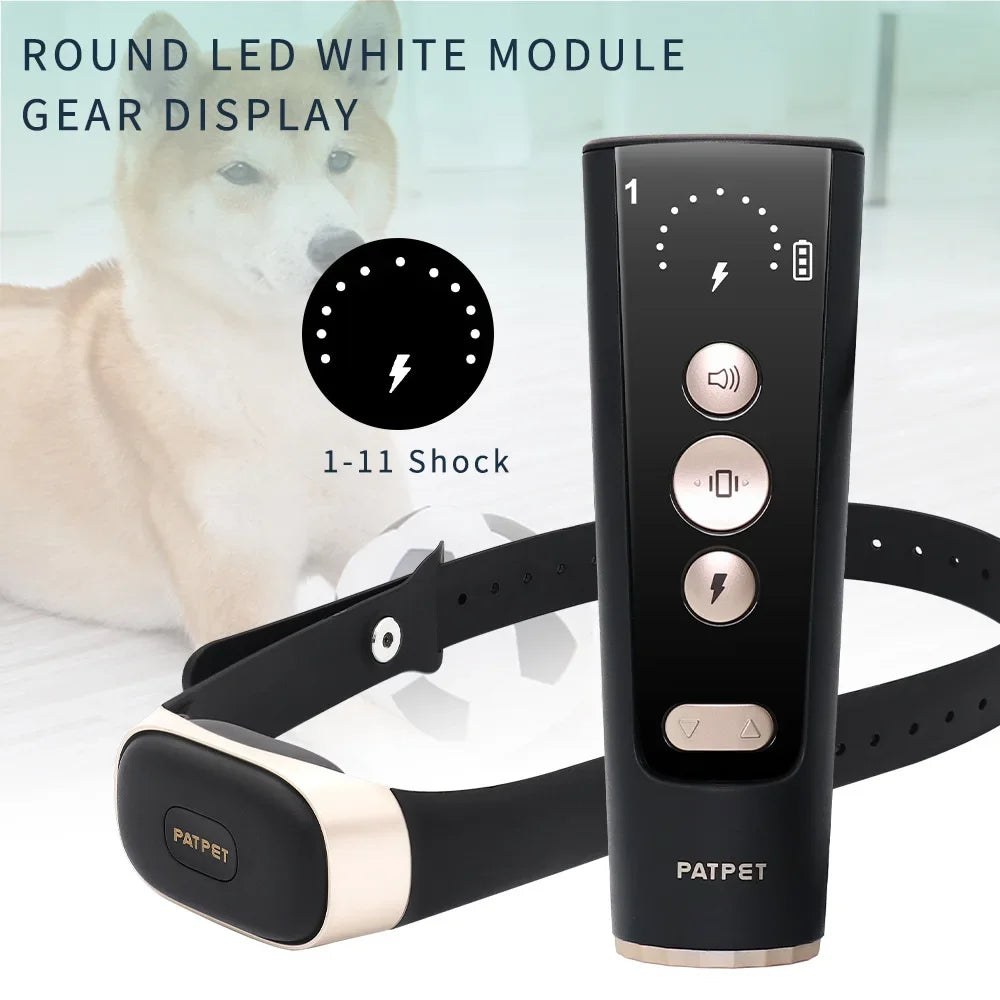 Black & Gold Dog Training E-Collar & Remote Control 3