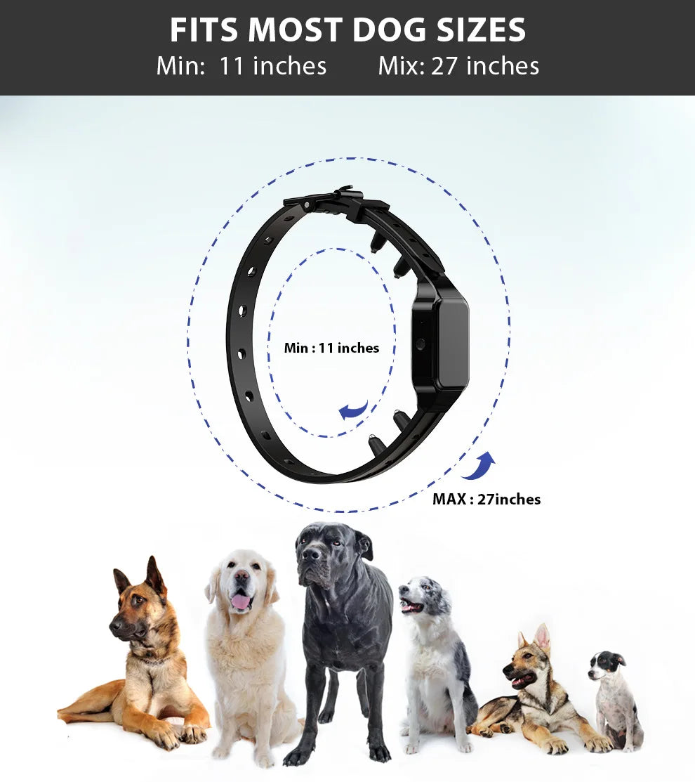 500m Range Anti-Bark E-Collar & Remote for Dog Training & Behaviour 5