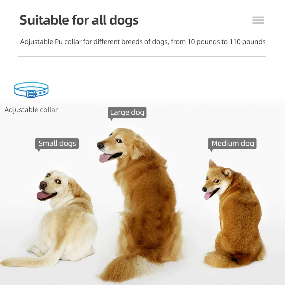 Remote Controlled 300m Bark Stopper E-Collar for Dog Training 4