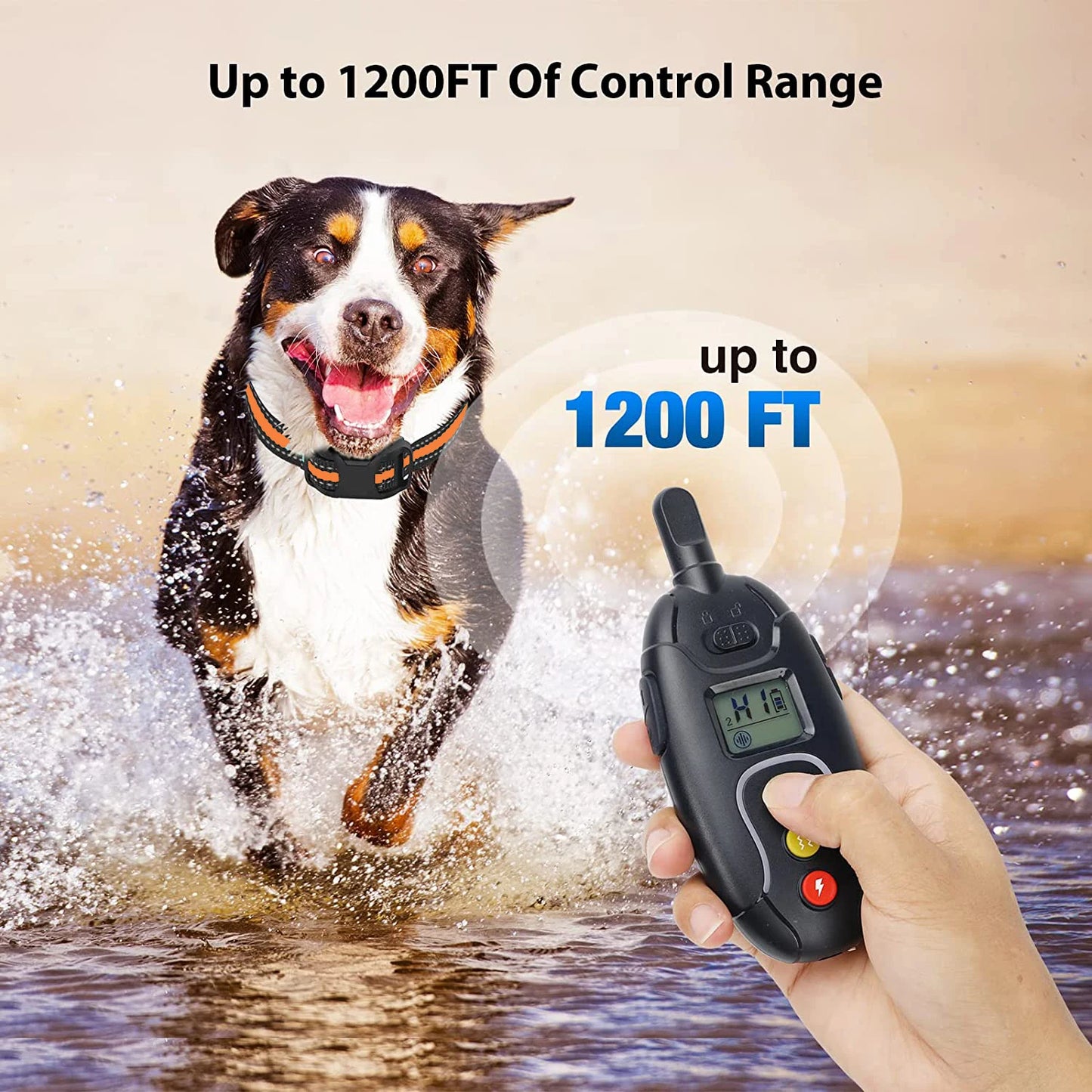 350m Dog Training Collar with Remote Control | Long-Lasting USB Rechargeable 4