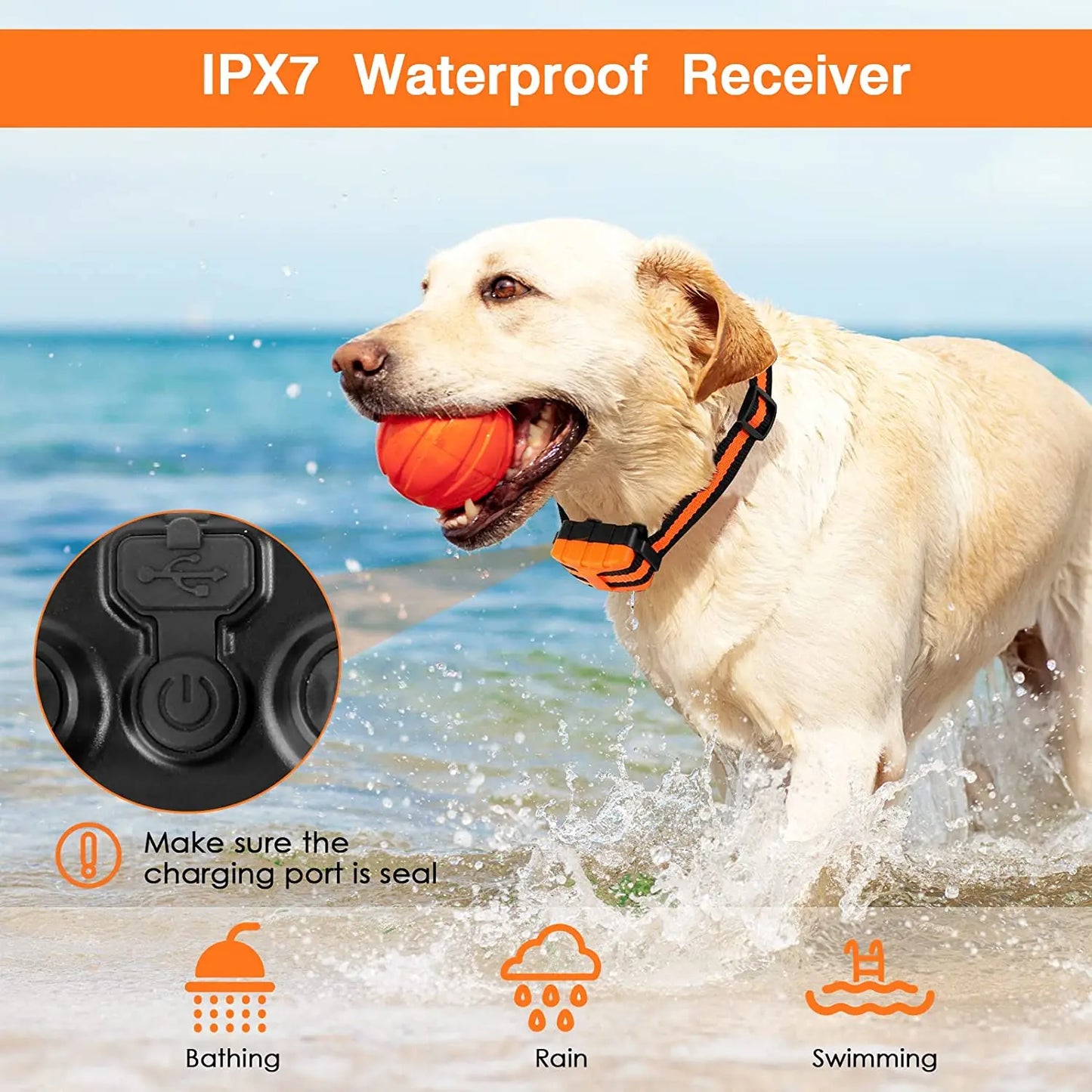 5-Level Dog Training Collar & Remote 6
