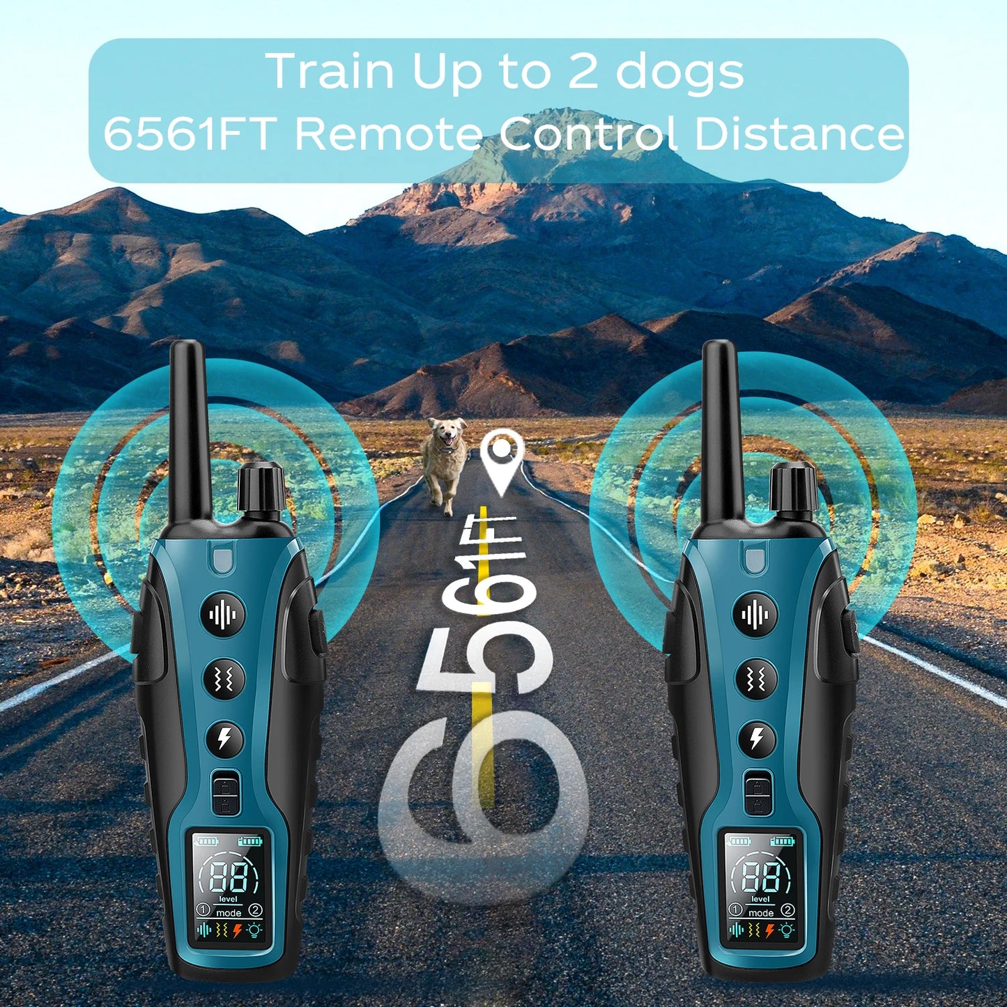 Night-Safe Flashlight Dog Training Collar & Remote Control up to 1000m