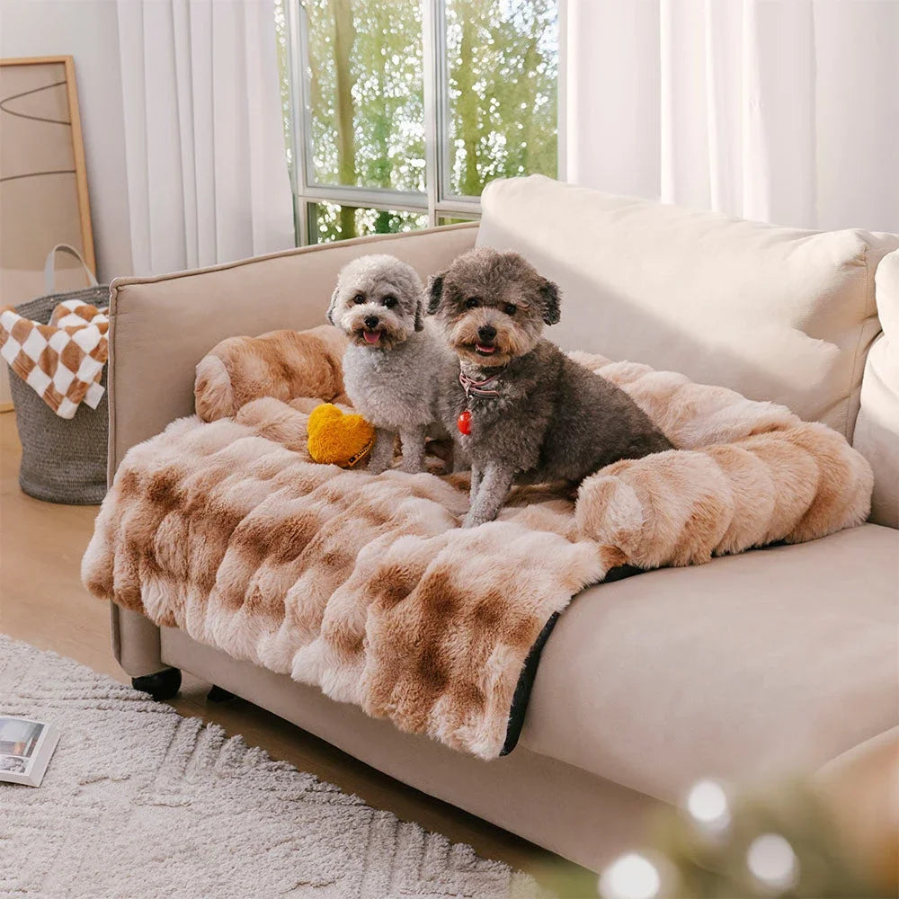 Fluffy Calming Dog Bed Sofa Protector with Bolster for Smaller Dogs & Cats 3