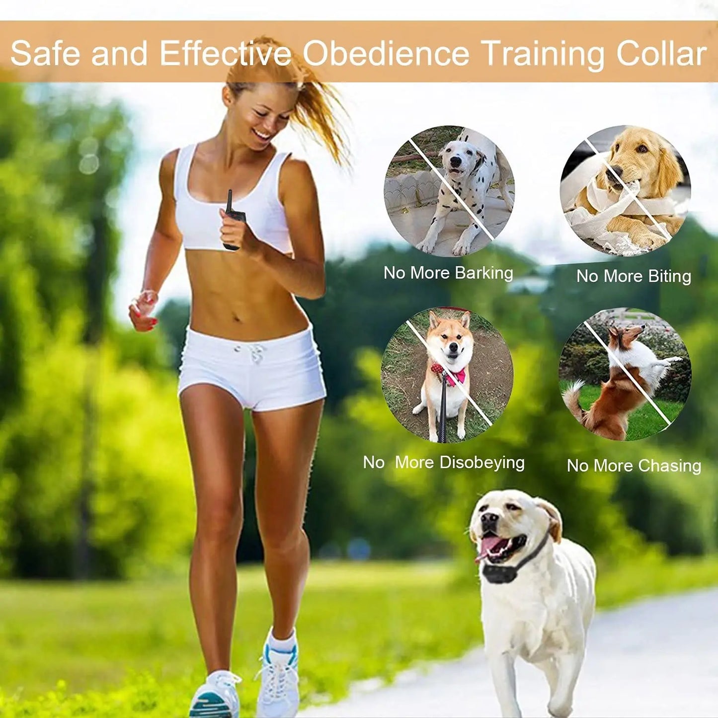 300m Dog Training Collar with Remote Control | Rechargeable & Waterproof 5