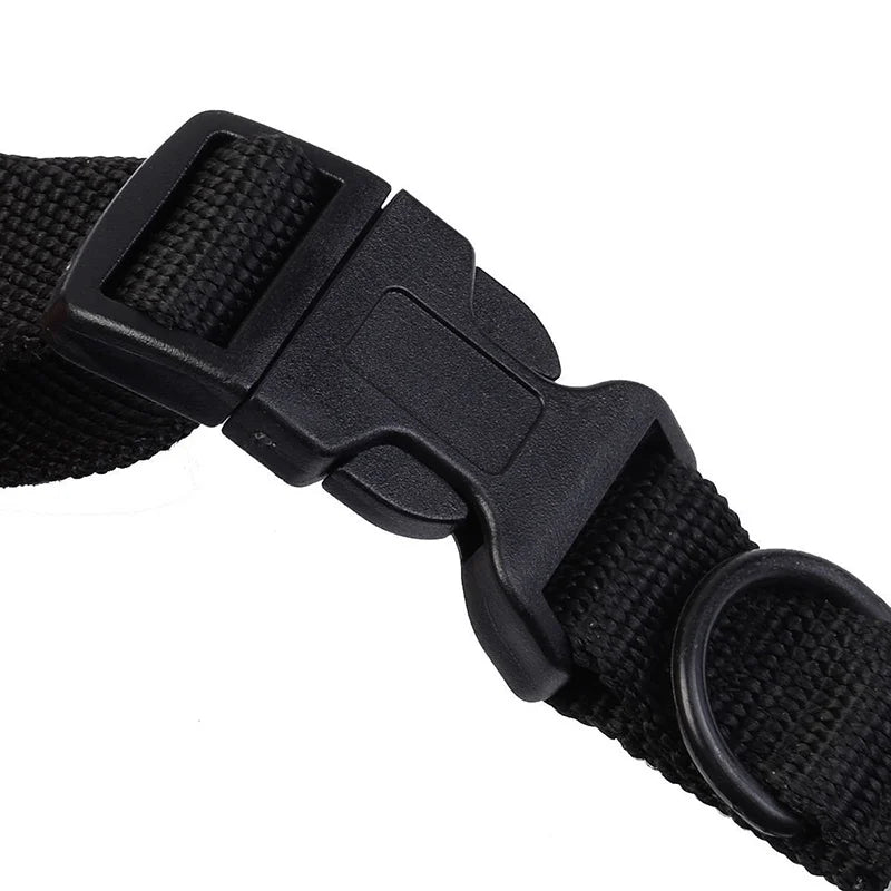 Waterproof & Rechargeable 300m Nylon Dog Training Collar with Remote 4