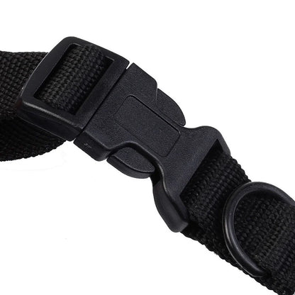 Waterproof & Rechargeable 300m Nylon Dog Training Collar with Remote 4