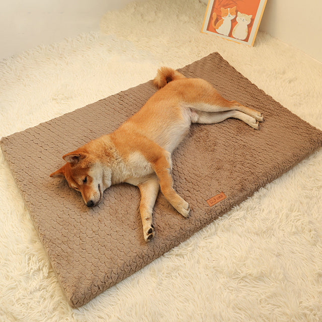 Short-Plush-Dog-Bed-Mat-with-Washable-Zipped-Cover-1