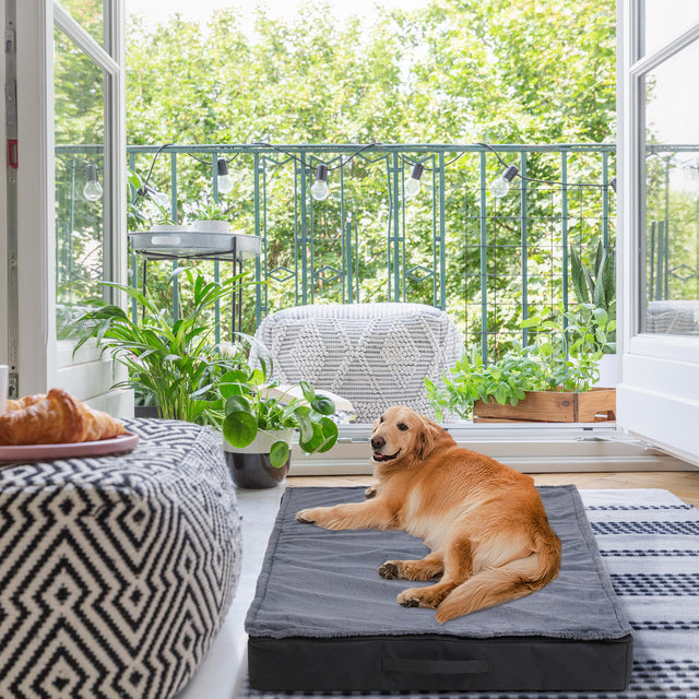 Thick-Orthopaedic-Dog-Bed-with-Removable-Cover-for-Large-Dogs-6