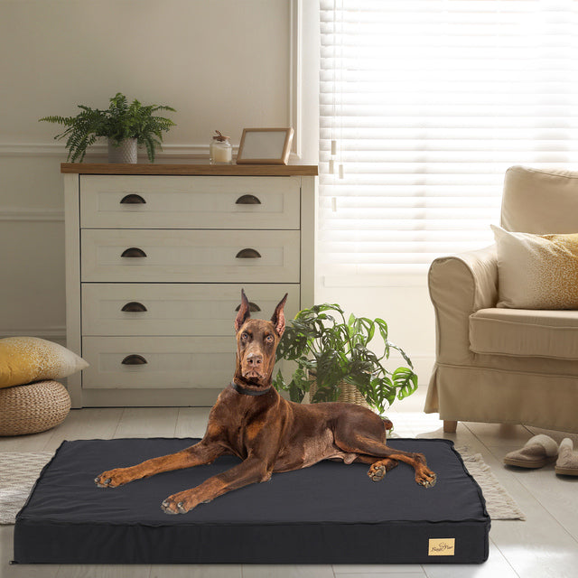 Thick-Orthopaedic-Dog-Bed-with-Removable-Cover-for-Large-Dogs-8