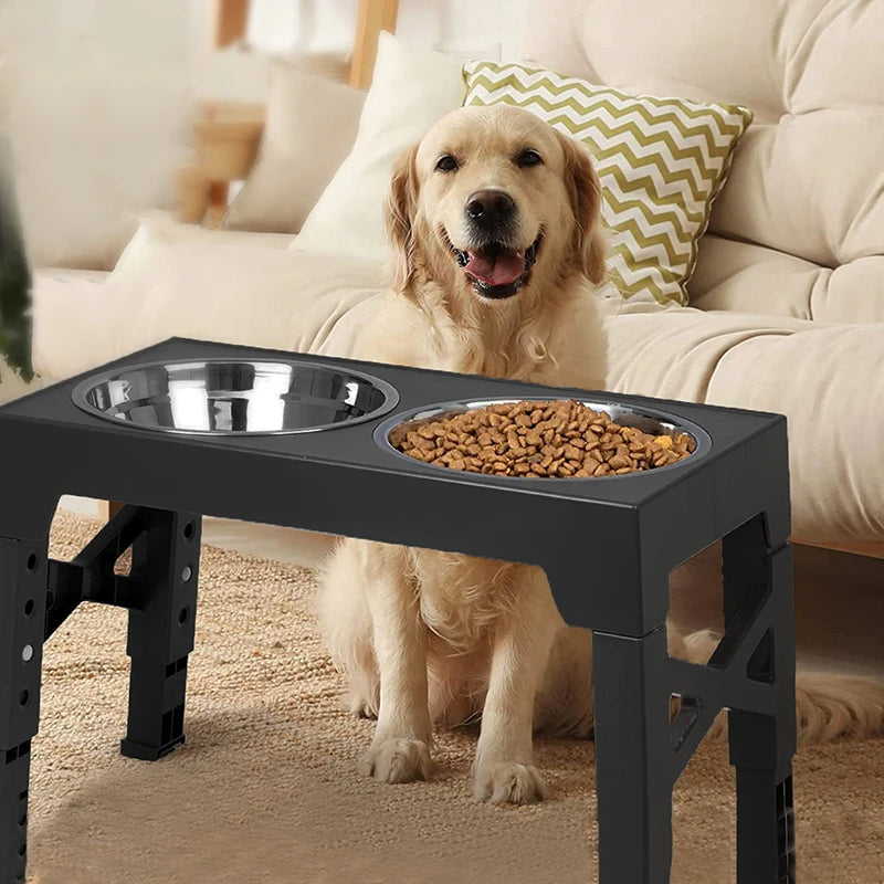 Adjustable Elevated Dog Feeding Station & Stainless Steel Dog Bowls 2