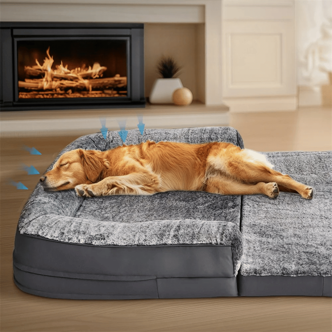 Anti-Anxiety Human Dog Bed | Foldable & Portable Calming Bolster Bed for Dogs & Owners 10