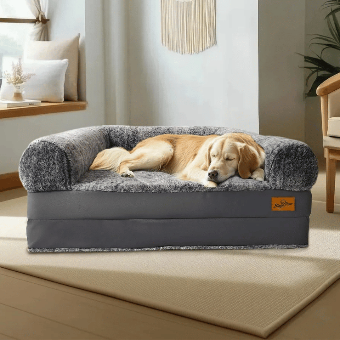 Anti-Anxiety Human Dog Bed | Foldable & Portable Calming Bolster Bed for Dogs & Owners 4