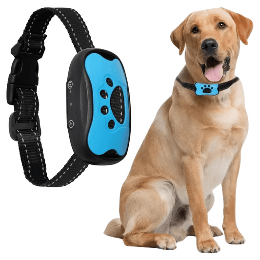 Anti-Bark Collar | No Shock Sound & Vibration Dog Training Device 1