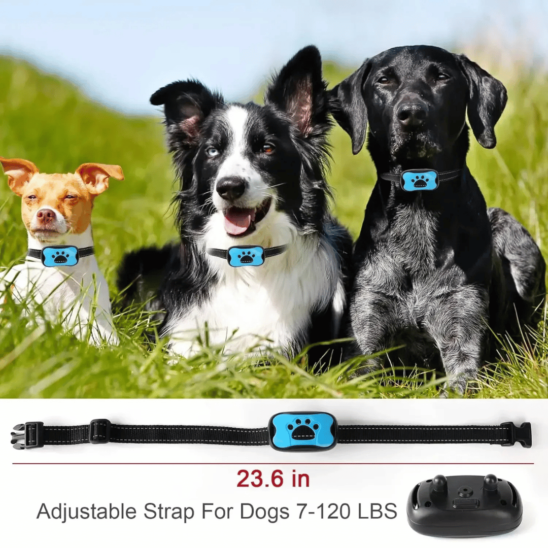 Anti-Bark Collar | No Shock Sound & Vibration Dog Training Device 12
