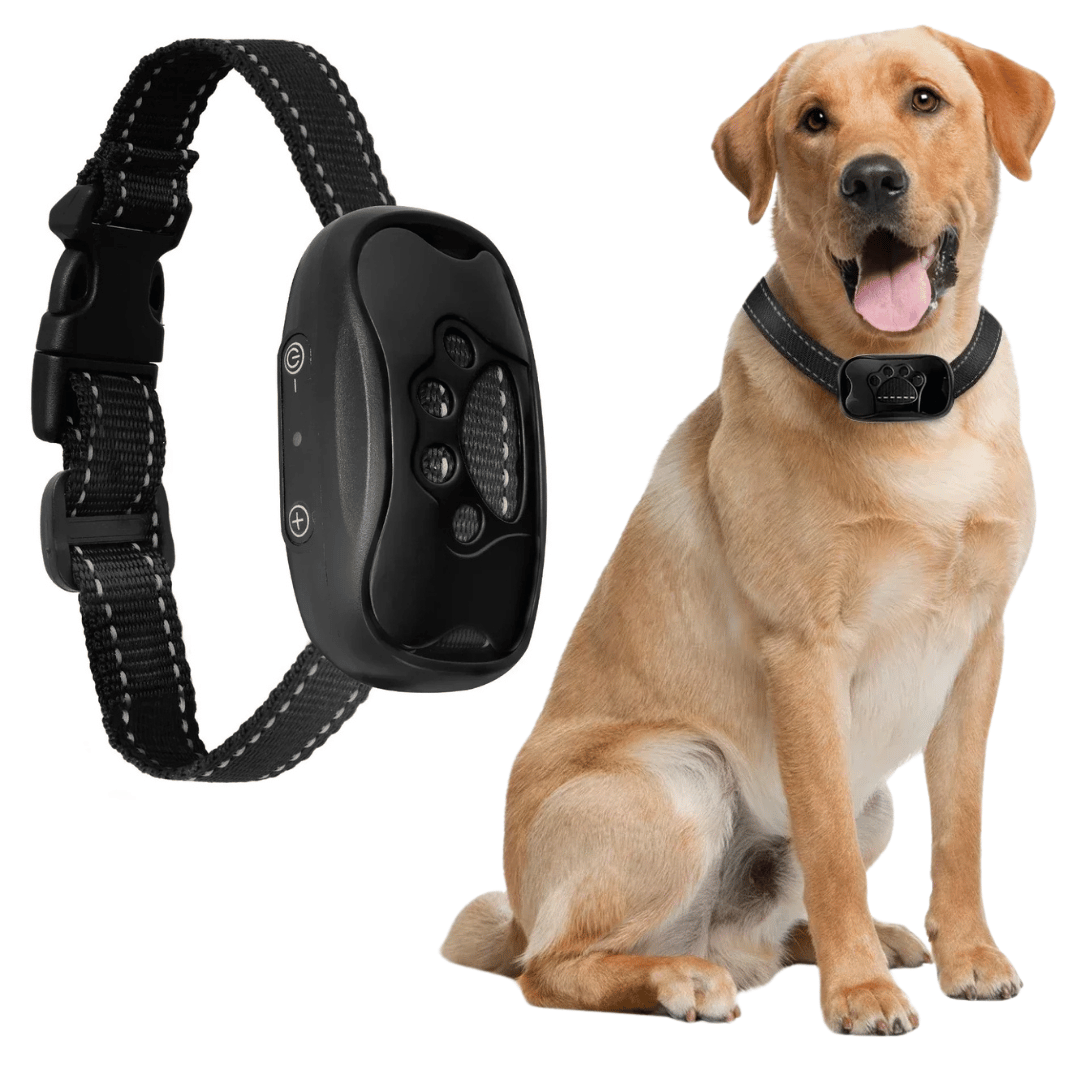 Anti-Bark Collar | No Shock Sound & Vibration Dog Training Device 2
