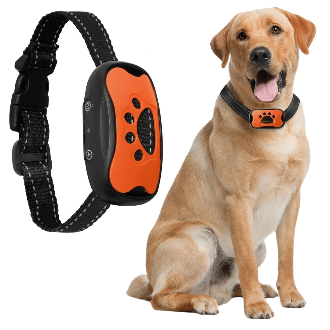 Anti-Bark Collar | No Shock Sound & Vibration Dog Training Device 3