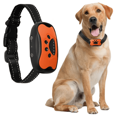Anti-Bark Collar | No Shock Sound & Vibration Dog Training Device 3