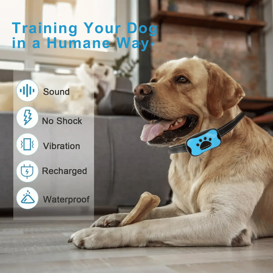 Anti-Bark Collar | No Shock Sound & Vibration Dog Training Device 7